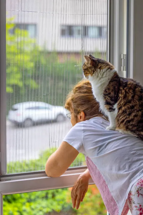 Invisible Safety Grill Benefits